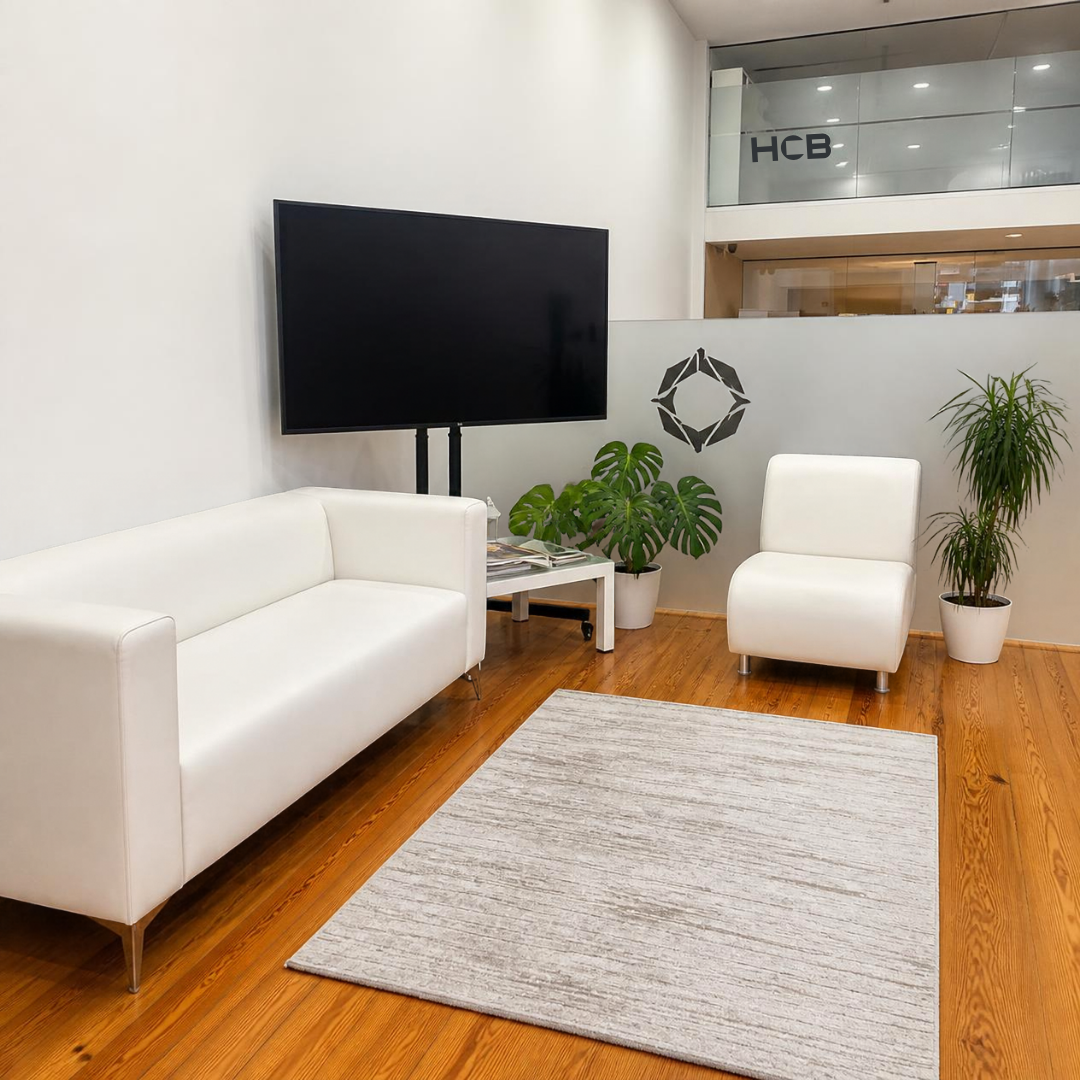 Zona de estar com sofás e TV